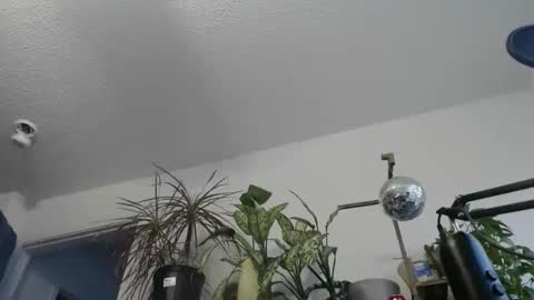 Rick online show from December 5, 3:55 pm