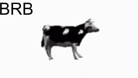 just call me Lana  and her security online show from January 26, 2:08 pm