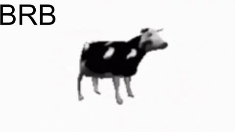 just call me Lana  and her security online show from January 25, 5:19 pm