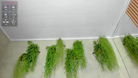 lana_lann online show from September 28, 11:52 am