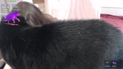 Lara online show from January 15, 7:11 pm