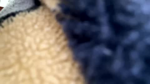 Mexakin online show from April 22, 1:35 am