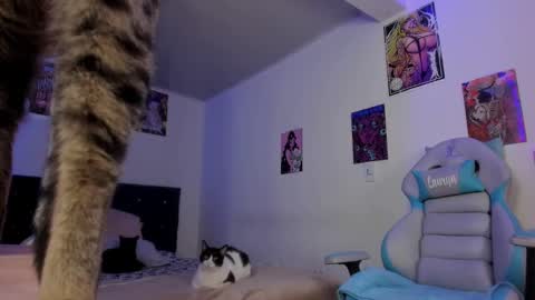 Snapshot of lauryn_muller_ chatting on December 6, 1:57 am Lau online show from December 6, 1:57 am