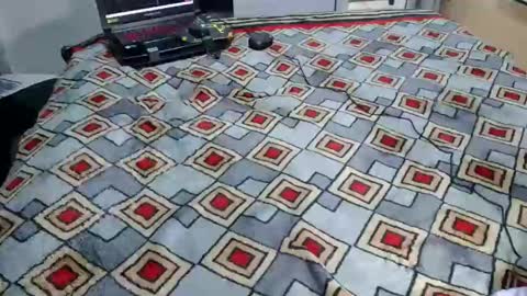 kelly online show from November 2, 12:43 am