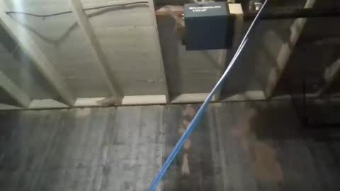 leo199984 online show from October 25, 3:51 am