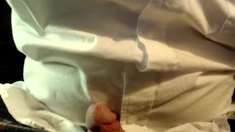 letsseebored online show from November 2, 11:27 pm