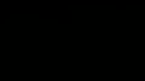 lewd palindrome online show from September 12, 4:03 am