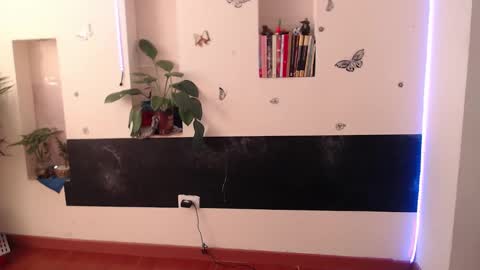 Lia Mitch online show from January 7, 8:52 pm