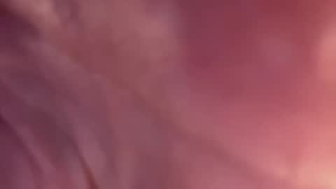 liabb111 online show from November 8, 2:03 am