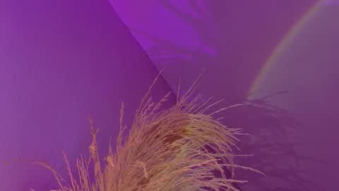 Liiam Luna online show from January 17, 9:19 am