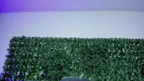 liilithstone online show from January 12, 2:24 pm