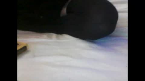 lilbit4u online show from January 10, 12:49 am
