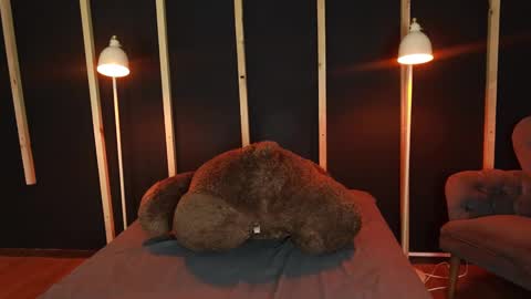 lilith_hart_ online show from February 27, 3:51 am