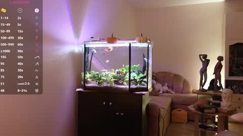 Alisa online show from November 2, 10:21 pm