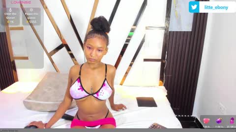 Snapshot of litte_ebony chatting on February 20, 6:35 pm Ashley online show from February 20, 6:35 pm