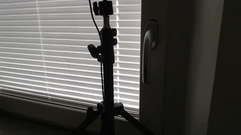 little_swede97 online show from June 1, 8:04 am