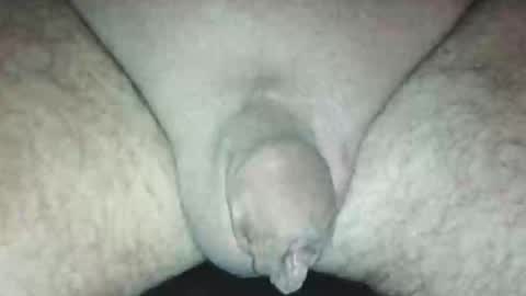 littlestick online show from October 8, 11:38 am