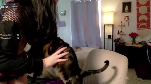 Eliza online show from December 3, 1:34 pm