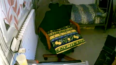 Snapshot of lokoum39 chatting on December 2, 5:21 pm lokoum39 online show from December 2, 5:21 pm