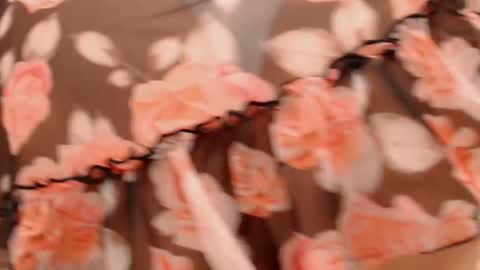  Lola  online show from January 16, 10:24 am