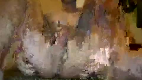 lookout44 online show from July 4, 8:23 pm
