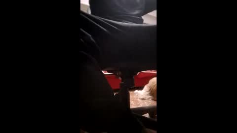 lordhealt online show from March 2, 4:28 am