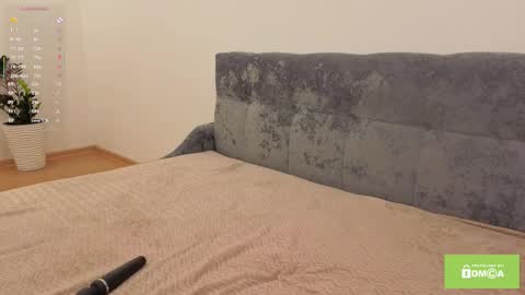 Polly online show from November 2, 10:48 am