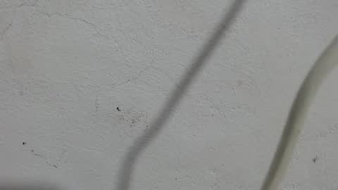 Snapshot of lovecreyzyshowcam chatting on September 11, 3:57 pm Frank and Nathy online show from September 11, 3:57 pm