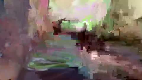 miss fancy louis online show from September 22, 2:21 pm