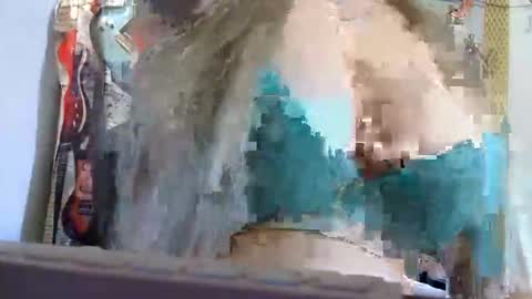 Snapshot of luanna837 chatting on September 14, 3:13 pm luanna837 online show from September 14, 3:13 pm
