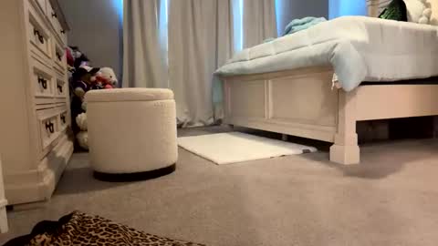 lucious_stace online show from May 3, 8:48 pm