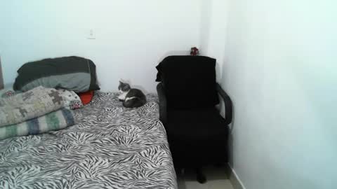 Snapshot of lucky_badboy chatting on February 5, 12:10 am Lucky online show from February 5, 12:10 am