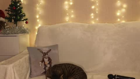 Katerina  online show from December 25, 6:52 pm