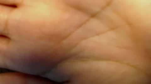    MONA    online show from January 21, 2:48 pm