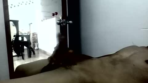 luis7159640 online show from March 31, 7:14 pm