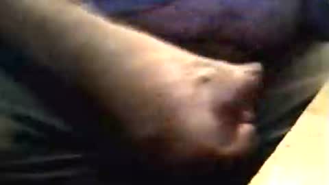Snapshot of lukestarfckr chatting on September 17, 6:44 pm lukestarfckr online show from September 17, 6:44 pm
