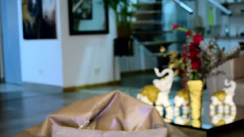 Lukhas f4f online show from February 14, 5:30 am