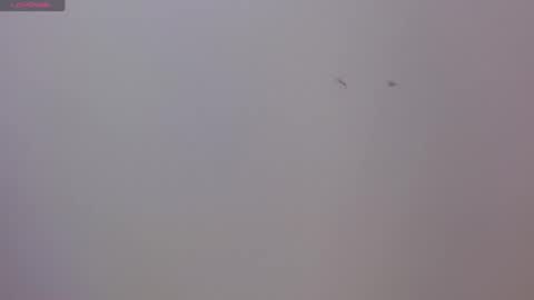 Luna and Rick online show from November 17, 8:44 pm