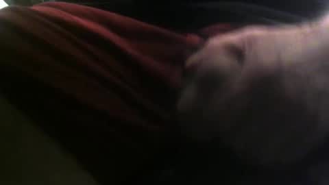 lunatica12 online show from February 23, 6:17 am