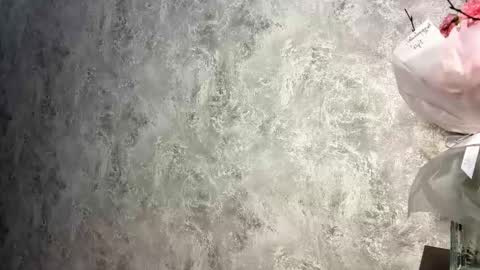 Mira online show from September 20, 8:23 pm