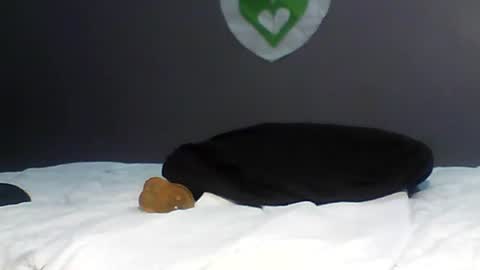 Bee Bee online show from February 14, 4:59 am