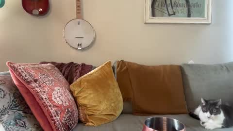 Luxy online show from December 2, 7:52 am