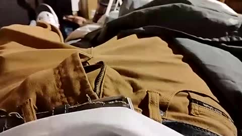 Lvac11 online show from December 8, 7:58 am