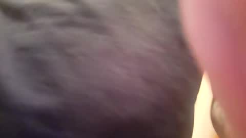 Fucklover online show from December 1, 12:07 am