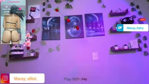 Macey Elliot Modelo Independiente online show from March 12, 9:35 pm