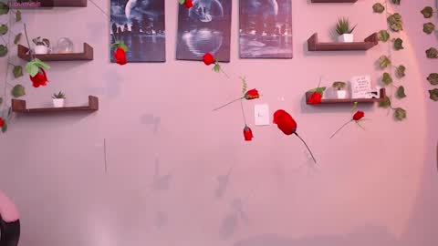 Macey Elliot Modelo Independiente online show from March 1, 2:02 pm