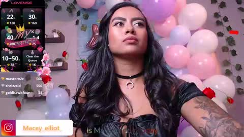 Macey Elliot Modelo Independiente online show from March 3, 7:07 pm