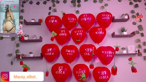 Macey Elliot Modelo Independiente online show from February 15, 2:55 pm