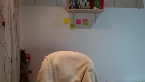 Snapshot of madisoncambel chatting on February 12, 3:40 am Madison Cambel online show from February 12, 3:40 am
