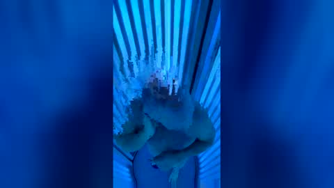 madman73614056 online show from January 11, 11:38 am